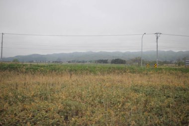 Sapporo ve Asahikawa hızlı tren görünümü