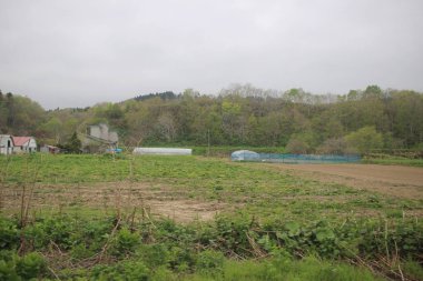 Sapporo ve Asahikawa hızlı tren görünümü