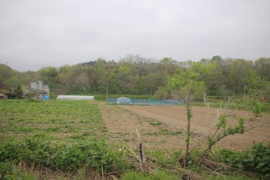 Sapporo ve Asahikawa hızlı tren görünümü