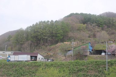 Sapporo ve Asahikawa hızlı tren görünümü