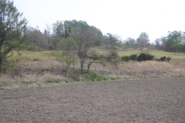 Sapporo ve Asahikawa hızlı tren görünümü