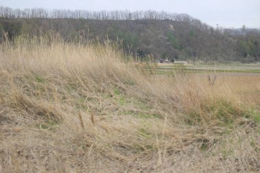 Sapporo ve Asahikawa hızlı tren görünümü
