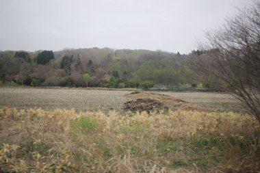 Sapporo ve Asahikawa hızlı tren görünümü