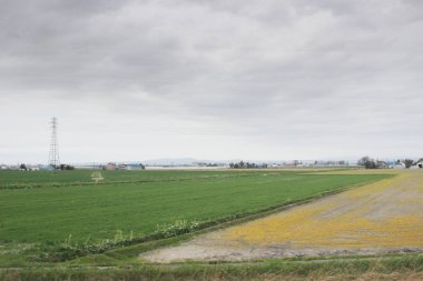 Sapporo ve Asahikawa hızlı tren görünümü