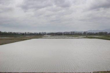 Sapporo ve Asahikawa hızlı tren görünümü
