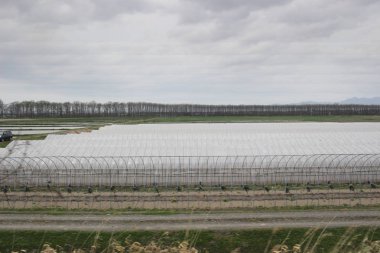 Sapporo ve Asahikawa hızlı tren görünümü