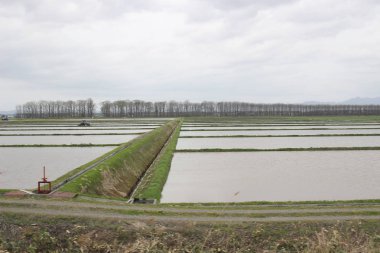 Sapporo ve Asahikawa hızlı tren görünümü