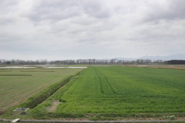 Sapporo ve Asahikawa hızlı tren görünümü