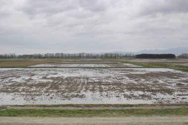 Sapporo ve Asahikawa hızlı tren görünümü