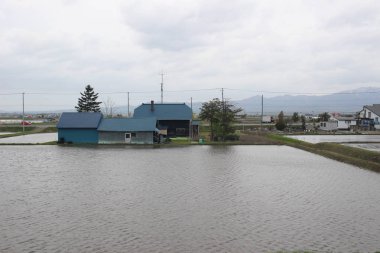 Sapporo ve Asahikawa hızlı tren görünümü