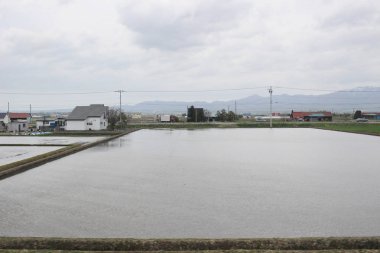 Sapporo ve Asahikawa hızlı tren görünümü