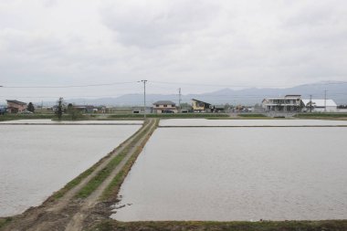 Sapporo ve Asahikawa hızlı tren görünümü
