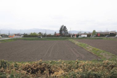 Sapporo ve Asahikawa hızlı tren görünümü