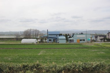 Sapporo ve Asahikawa hızlı tren görünümü