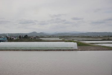 Sapporo ve Asahikawa hızlı tren görünümü