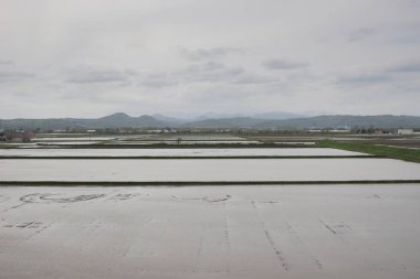 Sapporo ve Asahikawa hızlı tren görünümü