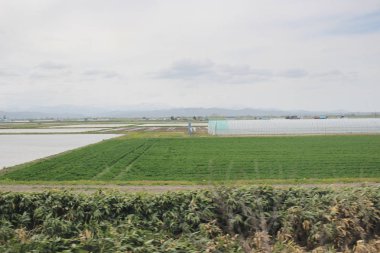 Sapporo ve Asahikawa hızlı tren görünümü