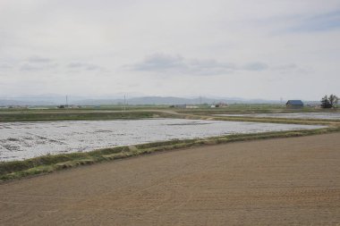 Sapporo ve Asahikawa hızlı tren görünümü
