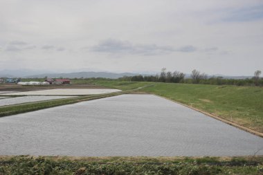 Sapporo ve Asahikawa hızlı tren görünümü
