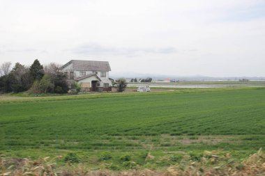 Sapporo ve Asahikawa hızlı tren görünümü