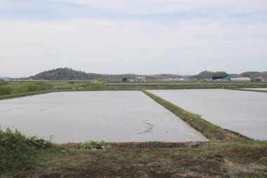 Sapporo ve Asahikawa hızlı tren görünümü
