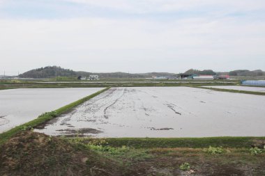 Sapporo ve Asahikawa hızlı tren görünümü