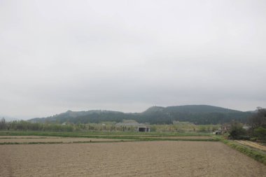 Sapporo ve Asahikawa hızlı tren görünümü