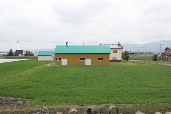 Vue express du train de Sapporo et Asahikawa — Photo