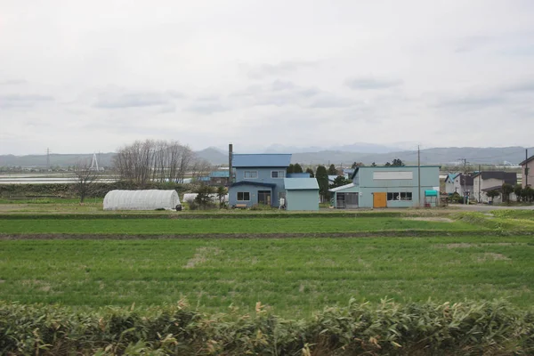 Sapporo ve Asahikawa hızlı tren görünümü