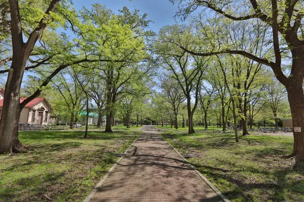 landsvape Japonya Hokkaido Üniversitesi