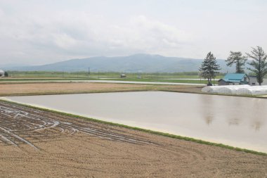 Asahikawa görüntülemek için Japonya Sapporo satırında