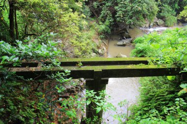 küçük Hawaii iz tko sai, kung 