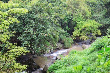 küçük Hawaii iz tko sai, kung 