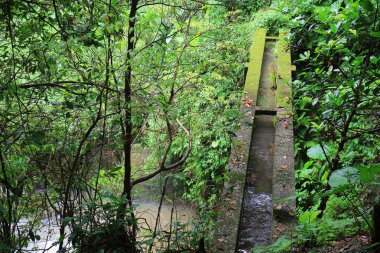 küçük Hawaii iz tko sai, kung 