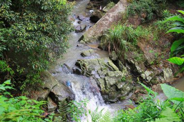 küçük Hawaii iz tko sai, kung 