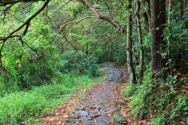 küçük Hawaii iz tko sai, kung 