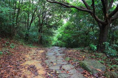 küçük Hawaii iz tko sai, kung 