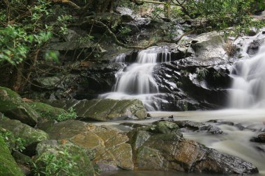 Küçük Hawaii iz tko, sonbaharda su