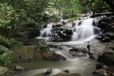 Küçük Hawaii iz tko, sonbaharda su