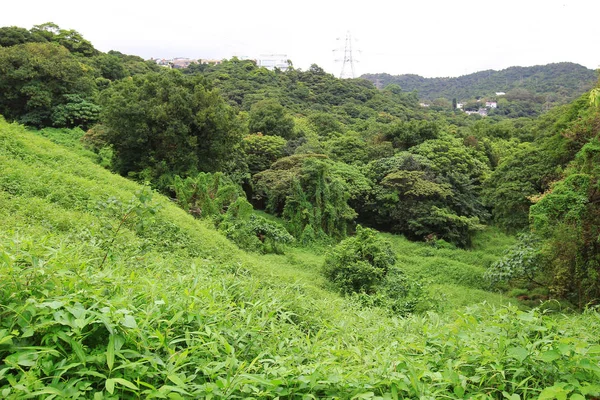 The desolate of feild Tseng Lan Shue — Stock Photo, Image