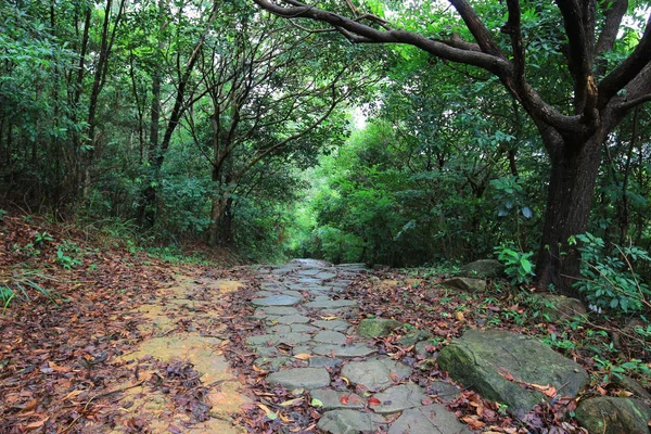 küçük Hawaii iz tko sai, kung 