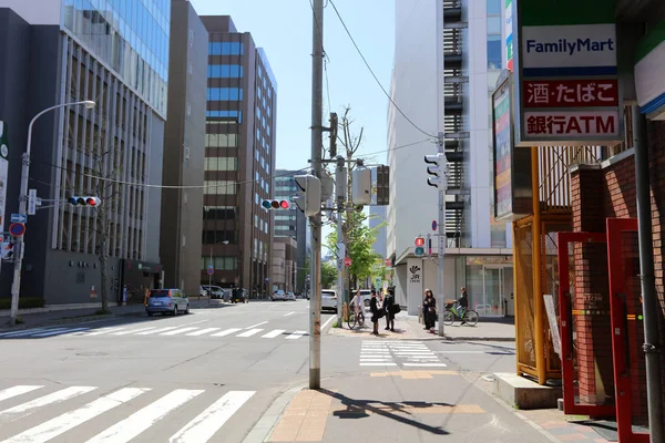 Vue sur la rue de Bâtiments autour de la ville SAPPORO, JAPON — Photo