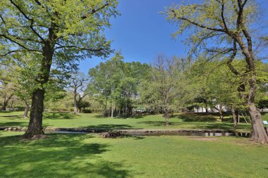Kampüs peyzaj hokkaido Üniversitesi Japonya