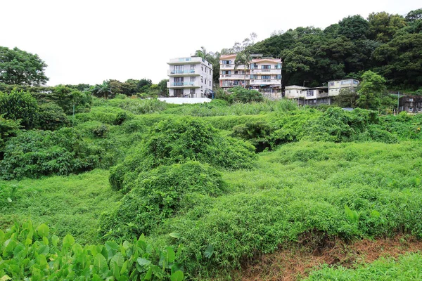 O desolado de feild Tseng Lan Shue — Fotografia de Stock