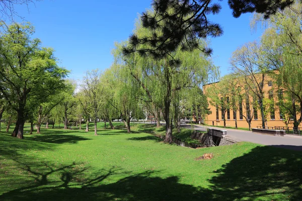 Campus of landscape at  hokkaido university japan