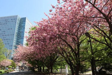 Eski Hokkaido hükümet ofis grarden 