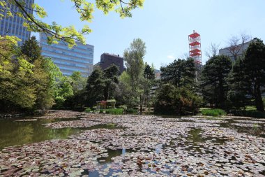 Eski Hokkaido hükümet ofis grarden 