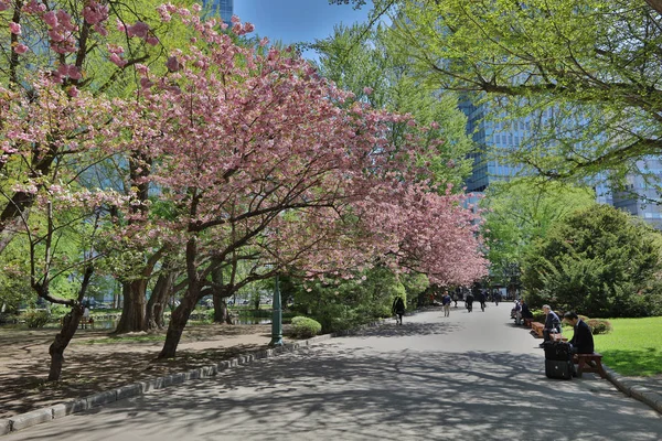 Das grarden des ehemaligen hokkaido-regierungsbüros — Stockfoto