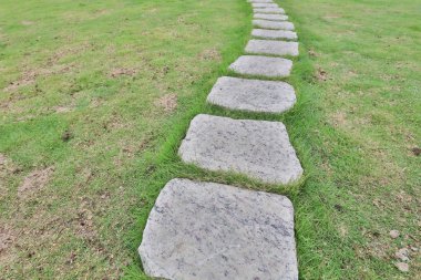 Foo yolunu kullanarak bahçedeki çalı