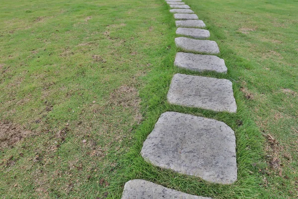 Foo caminho através de arbustos no jardim — Fotografia de Stock